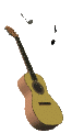 violãozinho